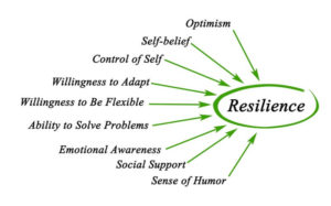 Resilience Components